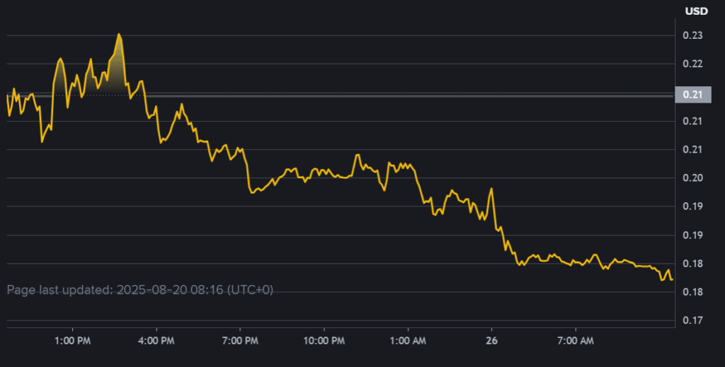 Crypto Market Movers: Top Gainers & Losers Today.